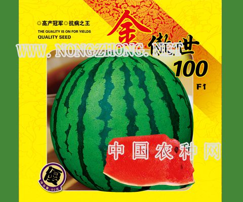 金傲世100